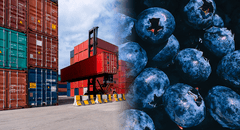 El país que superó a Chile como el mayor exportador de frutas de Sudamérica y ocupa el quinto lugar en el mundo