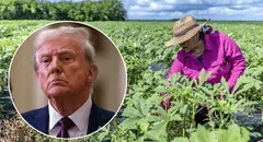 Excelentes noticias para inmigrantes en EEUU: Trump anuncia nuevo "pase temporal" para trabajadores de esta industria