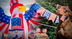 ¿A dónde ir el 4 de julio en Estados Unidos? Top 5 de ciudades para celebrar el Día de la Independencia 2025