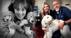 La historia del perrito que ayudó a los policías a resolver el macabro asesinato de su dueña en Texas