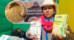 Disminuye producción de quinua en Puno por cambio climático: bajó más del 50%