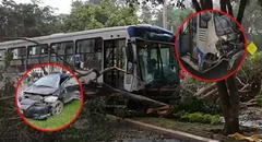 Violento choque entre corredor azul y auto en la av. Arequipa bloquea carril: árbol se cayó tras fuerte impacto