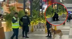 Mochila abandonada genera alarma en el aeropuerto Jorge Chávez y deja pasajeros varados 30 minutos