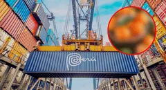 Perú vende más de 100.000 toneladas de estas frutas a los mercados internacionales: tienen vitamina C y se compra en Estados Unidos
