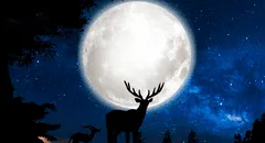 Calendario lunar de julio: cuándo brillará la luna llena y cuáles serán las fases lunares en este mes