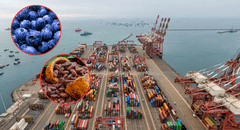 Exportaciones peruanas a Estados Unidos suben 18% pese a golpe arancelario