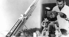 La increíble historia de Juan, el mono que hizo historia como el "primer astronauta argentino" en ir al espacio
