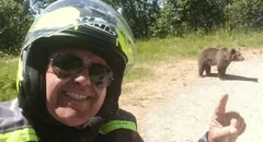 Turista muere tras ser atacado por oso pardo en Rumanía: se había tomado selfie con uno de sus cachorros