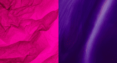 ¿Los colores fucsia y violeta son lo mismo?