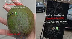 Peruano pide ensalada de palta en restaurante, pero le dan un fruto entero: “Buscó cobre y encontró oro”