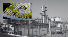 Etanol peruano busca unir agroindustria y minería para impulsar transición energética