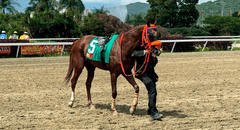 Resultados del 5y6 del 6 de julio en el Hipódromo La Rinconada: caballos ganadores y órdenes de llegada de todas las carreras