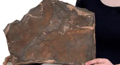 Un trozo de la historia de Marte y con gran valor científico está a punto de venderse por US$ 4 millones