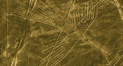 La obsesión de los nazca por representar animales no solo se encuentra en sus famosas líneas