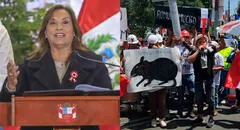Dina Boluarte minimiza protesta de mineros tras fracaso de ley Mape: "Ahora solo están en las calles los ilegales"