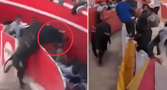Caos en fiesta costumbrista: toro se escapa de ruedo y desata el pánico entre asistentes en Cajamarca