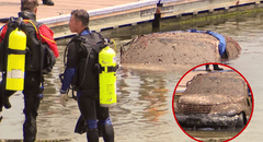 Hallan restos de un hombre desaparecido hace 15 años dentro de un auto sumergido en el mar en Estados Unidos