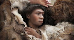 Científicos descubrieron el cráneo de un humano híbrido que podría haber sido en parte homo Sapiens y en parte neandertal
