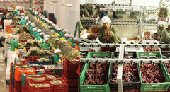 Agroexportaciones regionales rompen récord: suman US$3.248 millones y los orgánicos pisan fuerte