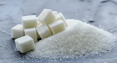 ¿La solución al hambre y contaminación?: científicos afirman convertir el dióxido de carbono en azúcar y otros alimentos