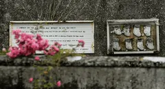 Descubren alrededor de 800 cadáveres de bebés bajo un convento de monjas en Irlanda: "No había ningún registro"