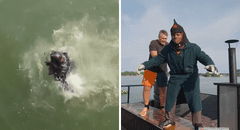 'Speed’, famoso streamer de EE.UU., se prende fuego durante una transmisión en vivo y salta al mar