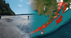 Terremoto de magnitud 7,3 sacudió Alaska, EEUU, según USGS: anunciaron eventual tsunami en las costas