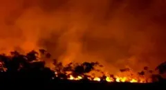 Incendio forestal de gran magnitud arrasa áreas de bosque en Manantay, Pucallpa: humareda llegaría a la ciudad