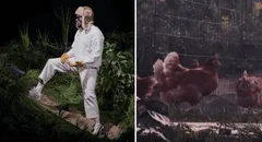 PETA denunció a Bad Bunny por usar gallinas vivas en sus conciertos de Puerto Rico: "Una pesadilla para los animales"