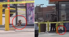 Hallan oso de peluche con falsa piel humana en un paradero de bus en EE.UU. y desata caos: era una obra artística de terror
