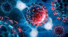 La OMS pone bajo vigilancia a la nueva variante del COVID conocida como “Frankenstein” detectada en Brasil