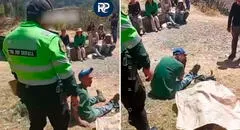 Madre en Junín fallece tras recibir una patada de una vaca mientras la ordeñaba: hijo la encontró en un canal de regadío
