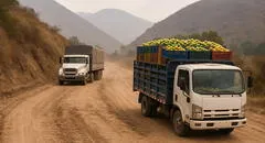 Perú puede llegar a Shanghái pero no a Chancay: El 75% de vías departamentales está sin pavimentar