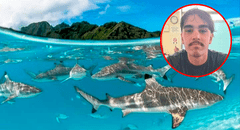 Joven australiano desapareció mientras surfeaba y terminó varado en una isla desierta a 13 km rodeado de tiburones: "Pensé que no iba a volver"