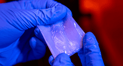 ¿Adiós al plástico?: científicos crean un nuevo material biodegradable igual de flexible y con la resistencia de un metal