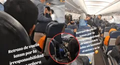 Señora sube hámster a un avión, pero se le escapó y retrasó vuelo de Latam: "No quería volar"