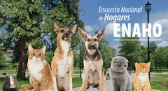 INEI incluirá por primera vez módulo sobre mascotas y su cuidado en Perú en la ENAHO 2025: estas serán las preguntas