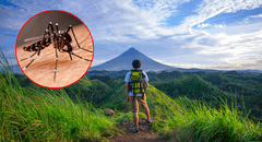 Minsa recomienda medidas clave contra el dengue para quienes viajen por Fiestas Patrias