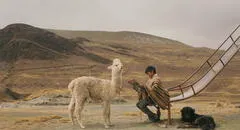 Festival de Cine de Lima: ciclo itinerante de películas peruanas