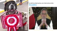 Los memes más divertidos sobre Dina Boluarte en la Parada Militar 2025 que te sacarán risas