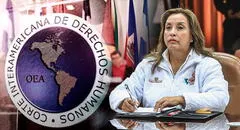 Dina Boluarte contra los derechos humanos: presidenta ataca a la Corte IDH ante observaciones a ley de amnistía