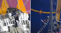 Perrito es obligado a hacer acrobacias en circo en Chincha: autoridades intervinieron local