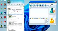 Cómo tener MSN Messenger en 2025: podrás chatear con tus amigos y enviarles zumbidos o guiños