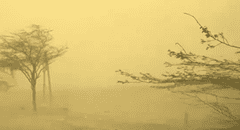 Vientos de Paracas: Senamhi revela causas del fenómeno que impactó la costa peruana y hasta cuándo se extenderán