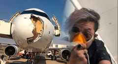 Avión aterriza de emergencia tras impactar con un ave de gran tamaño durante vuelo entre España y Francia