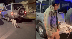 Hombre amarra su perro a la parte trasera de su camioneta en movimiento y causa indignación en Trujillo