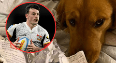 Deportista casi pierde la oportunidad de viajar y participar en un campeonato por su mascota: “El perro se comió mi pasaporte”
