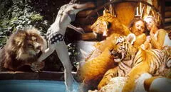 El peligroso rodaje de 'Roar', el filme que usó más de 100 leones y arriesgó la vida de su elenco