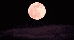Calendario lunar agosto 2025: cuándo ver la luna llena y cuáles serán las fases lunares de este mes