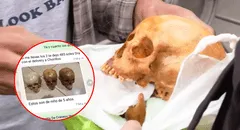 Mercado negro de restos humanos: trafican cráneos y otras partes del cuerpo por 'delivery' en todo Lima